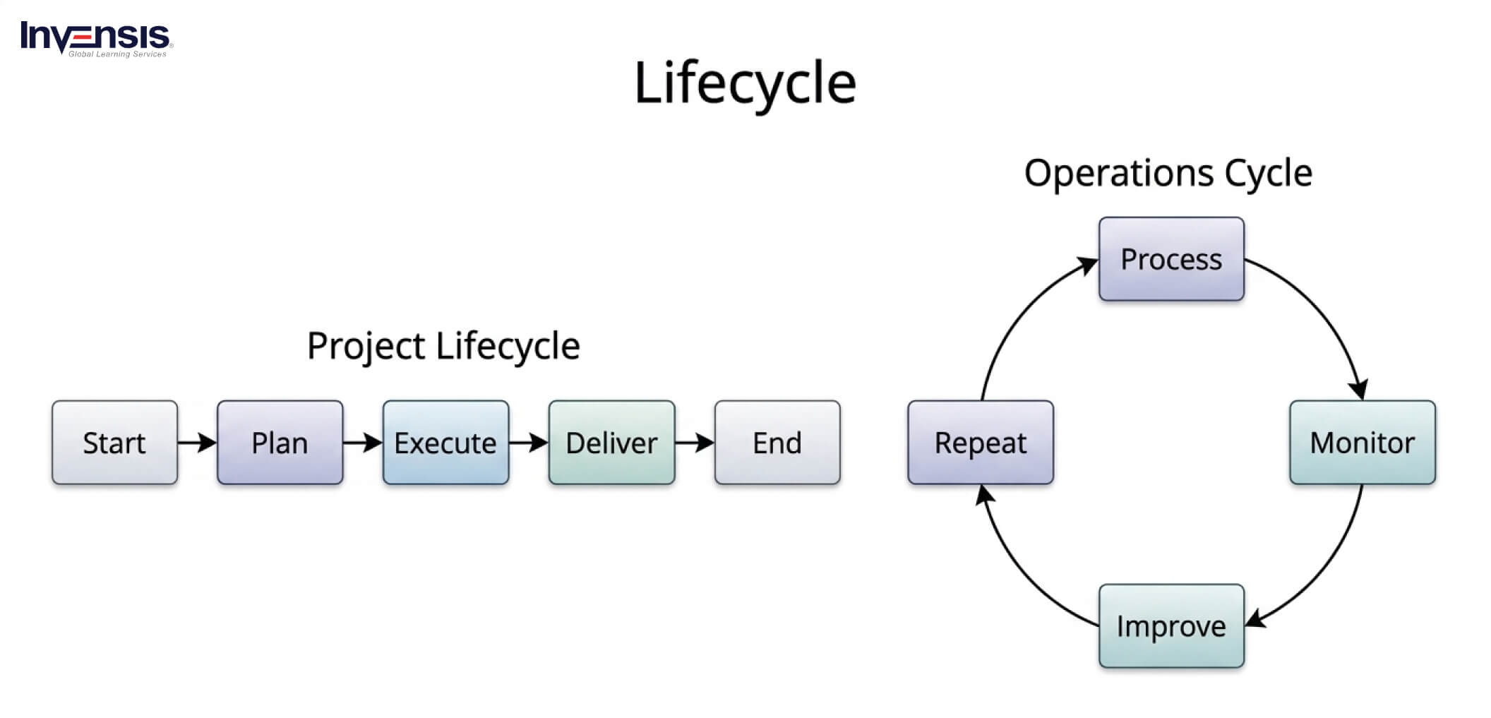 Lifecycle