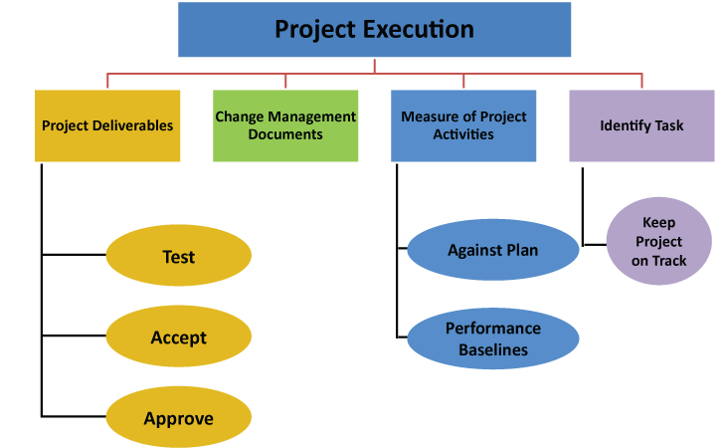 Project Execution Project Execution