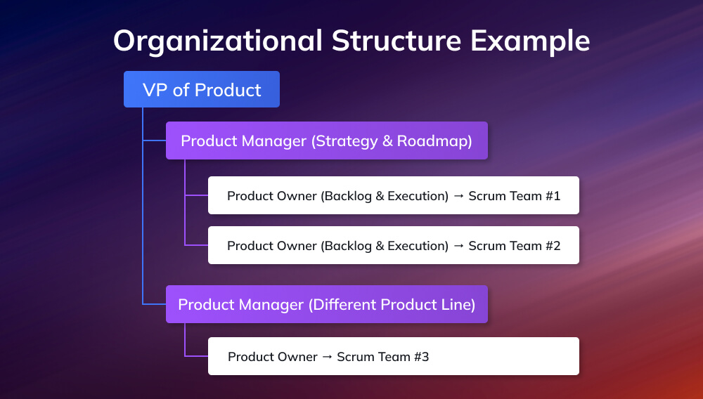 Organizational Structure